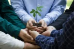 Sustainability into Your Business Strategy